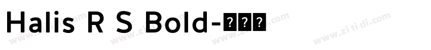 Halis R S Bold字体转换